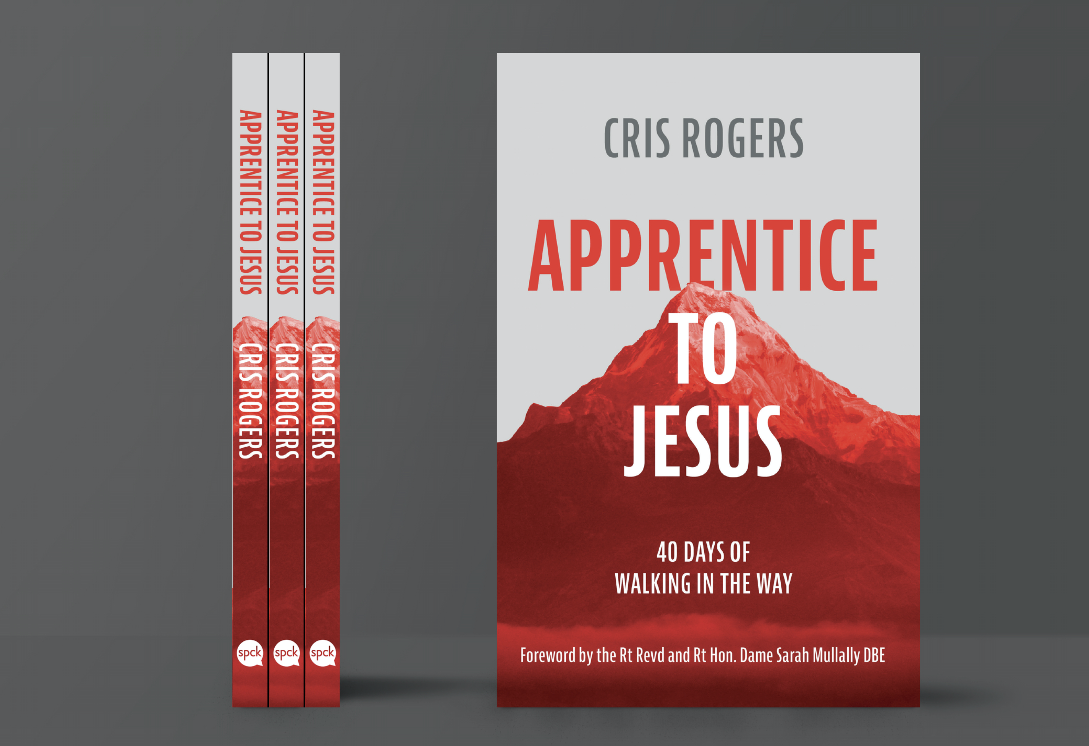 Apprentice To Jesus: 40 days of walking in the way